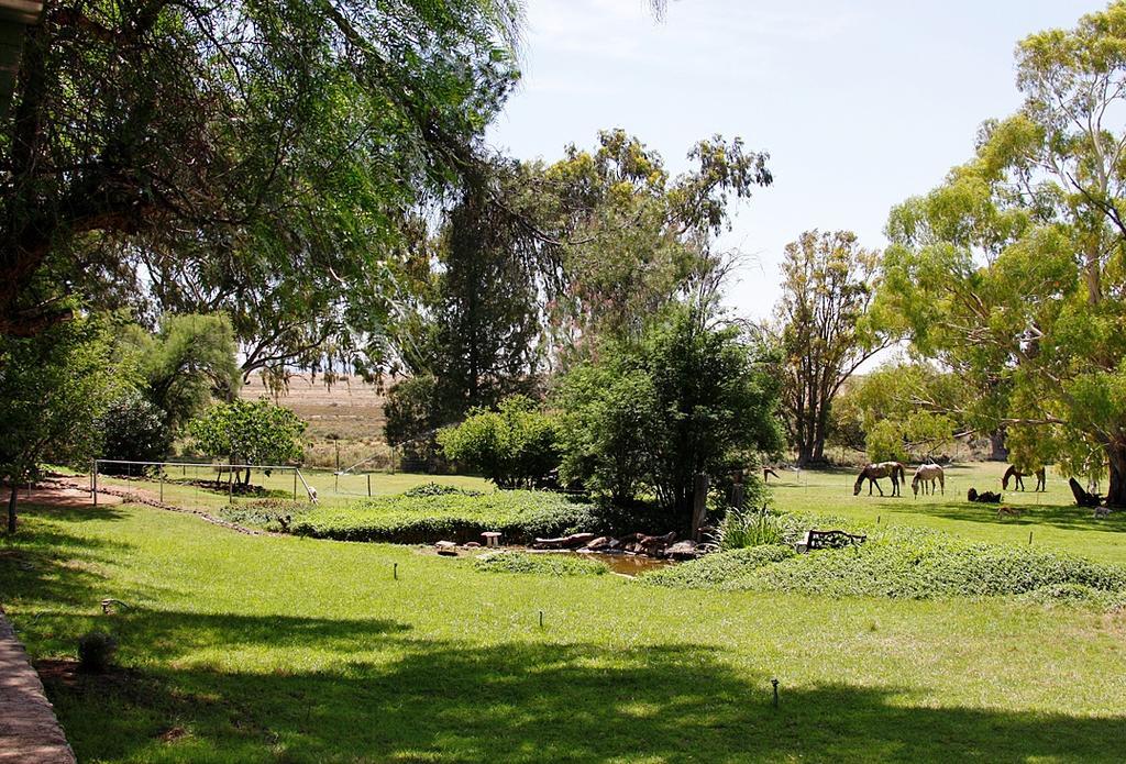 Garingboom Guest Farm Villa Springfontein Exterior photo